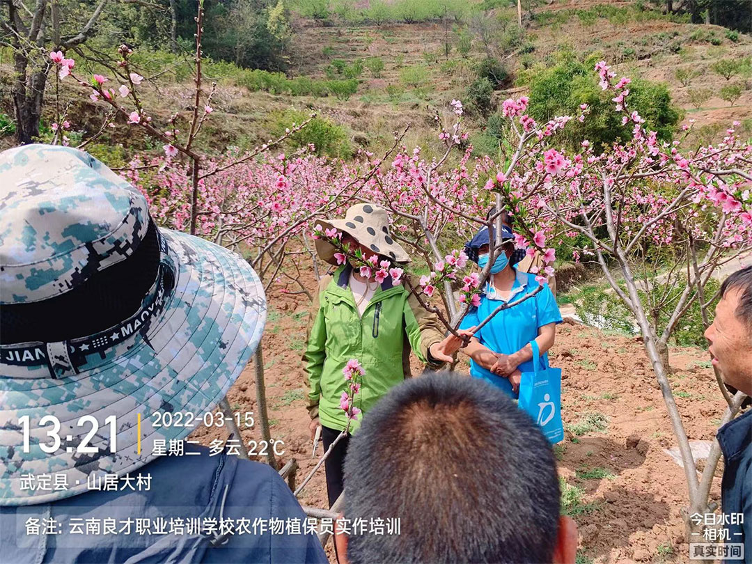 云南良才職業(yè)培訓(xùn)學(xué)校農(nóng)作物植保員實(shí)作培訓(xùn) 云南良才職業(yè)培訓(xùn)學(xué)校農(nóng)作物植保員實(shí)作培訓(xùn)
