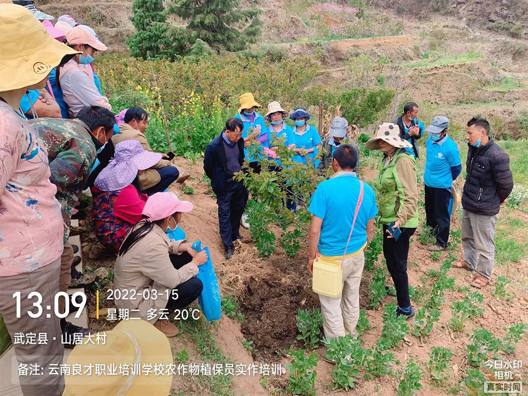 云南良才職業(yè)培訓(xùn)學(xué)校農(nóng)作物植保員實(shí)作培訓(xùn) 云南良才職業(yè)培訓(xùn)學(xué)校農(nóng)作物植保員實(shí)作培訓(xùn)