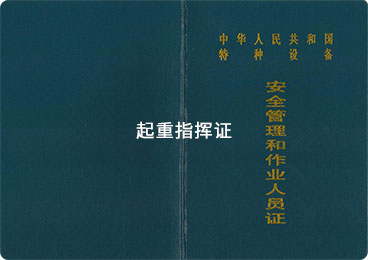 ����ָ�]�CQ1�C����ʽ