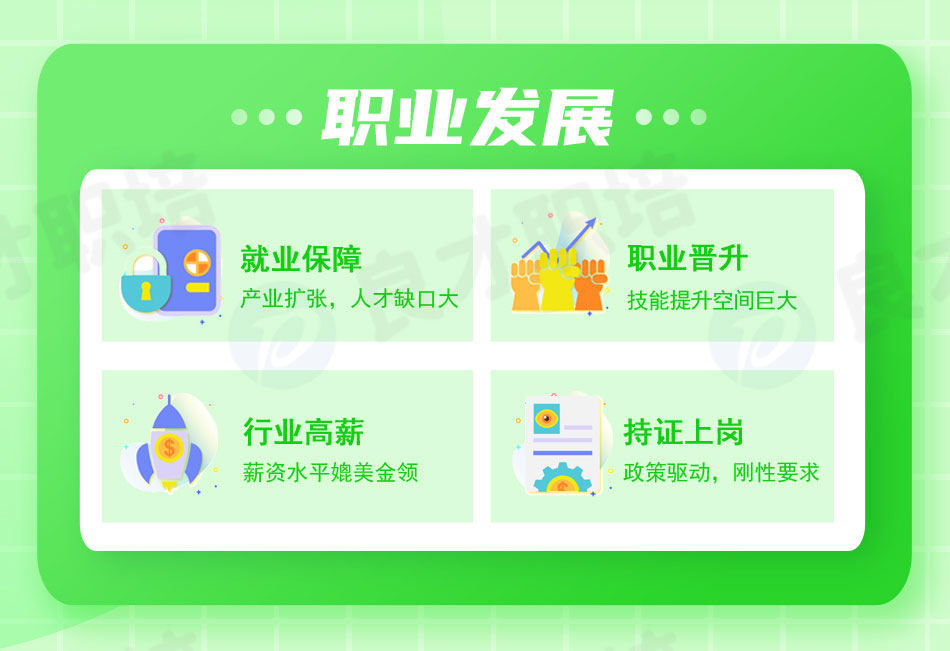 主要負責人職業發展 主要負責人職業發展